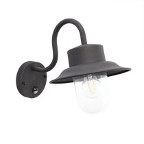 Chesham PIR Clear Glass Wall Light In Textured Black