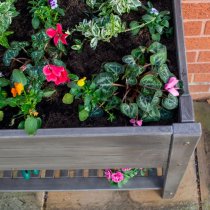 Arundel Wooden Raised Planter In Grey Wash