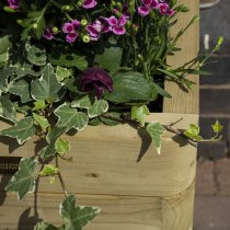 Marsden Tall Wooden Planter In Natural Timer