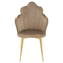 Tania Mink Velvet Dining Chairs With Gold Legs In A Pair