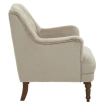 Lillie Velvet Upholstered Armchair In Mink