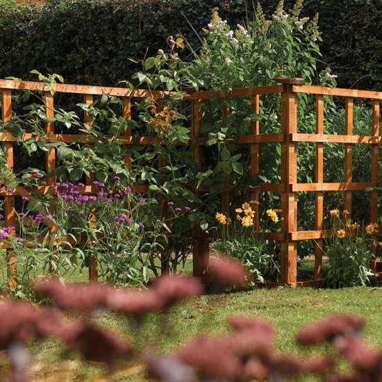 Hizo Heavy Duty Set Of 3 Dip Treated 6x3 Trellis In Honey Brown