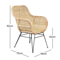 Puqi Occasional Rattan Armchair In Natural