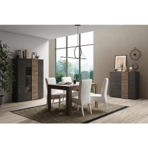 Noa Wooden Display Cabinet With 2 Doors In Titan And Mercury