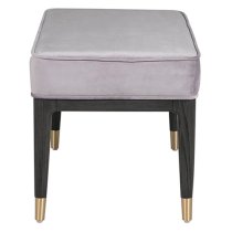 Dileta Velvet Dressing Stool In Ebony