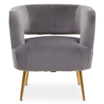 Larrisa Velvet Lounge Chair With Gold Metal Legs In Grey