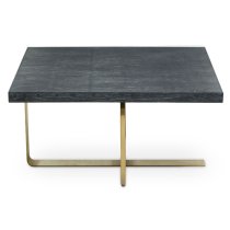 Lana Square Wooden Coffee Table With Gold Steel Base