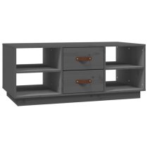 Aivar Pine Wood Coffee Table With 2 Drawers In Grey