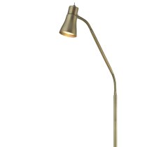 Jolly Mild Steel Flexi Head Floor Lamp In Antique Brass