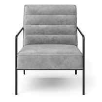 Barth Plush Velvet Accent Chair In Grey With Black Legs