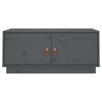 Anicet Pinewood Coffee Table With 2 Doors In Grey