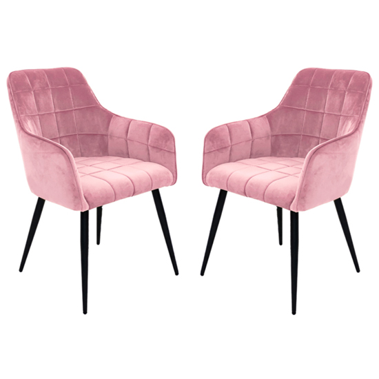 Vernal Blush Velvet Dining Chairs With Black Legs In Pair