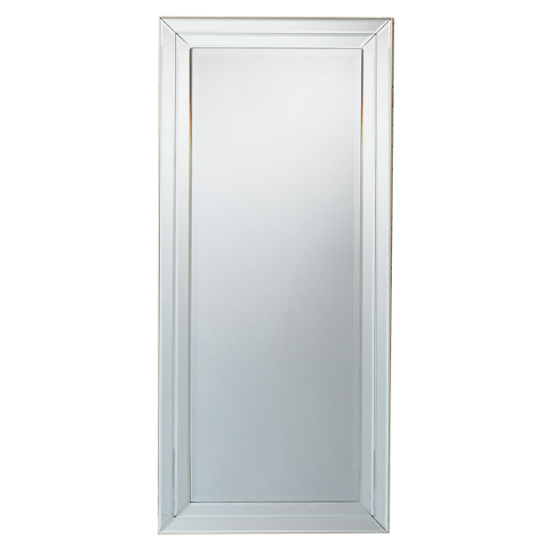 Russell Rectangular Leaner Mirror In Champagne Frame