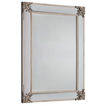 Wilusa Rectangular Wall Mirror In Champagne Frame