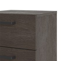 Denton Wooden Bedside Cabinet With 2 Drawers In Dark Oak